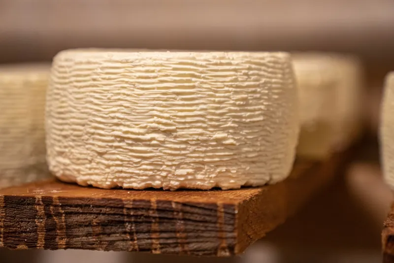 Cultured, Complex, and Uncommonly Good: The American Creameries Elevating Butter to a Fine Ingredient