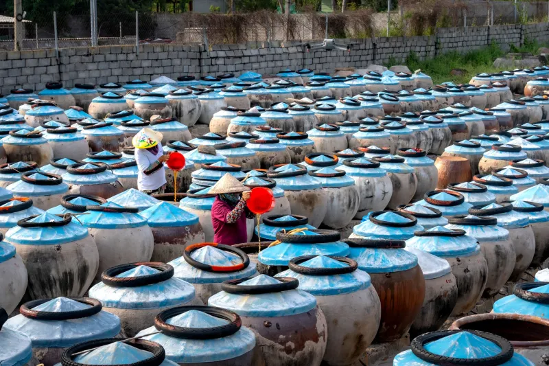 Depth from the Ground Up: America's Small-Batch Miso and Fish Sauce Makers Are Quietly Revolutionizing the Pantry