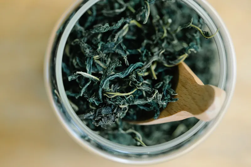 Leaf, Stem, and Blossom: The American Tea Artisans Bringing Botanical Complexity to the Culinary Kitchen