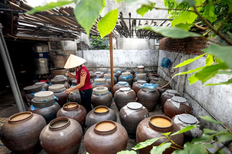 From Local Grain to Ancient Depth: How American Makers Are Mastering Miso, Dashi, and Koji