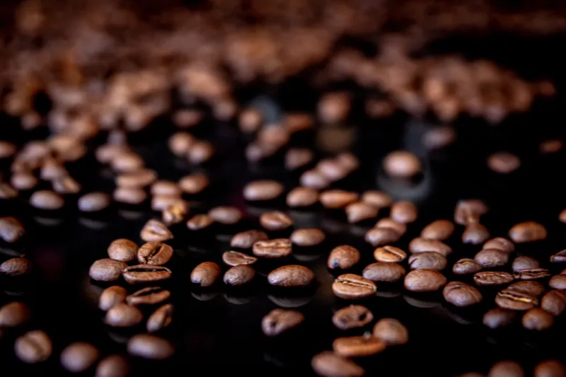 Terroir in the Cup: The Single-Origin Coffee Roasters Treating the Bean as a Culinary Ingredient